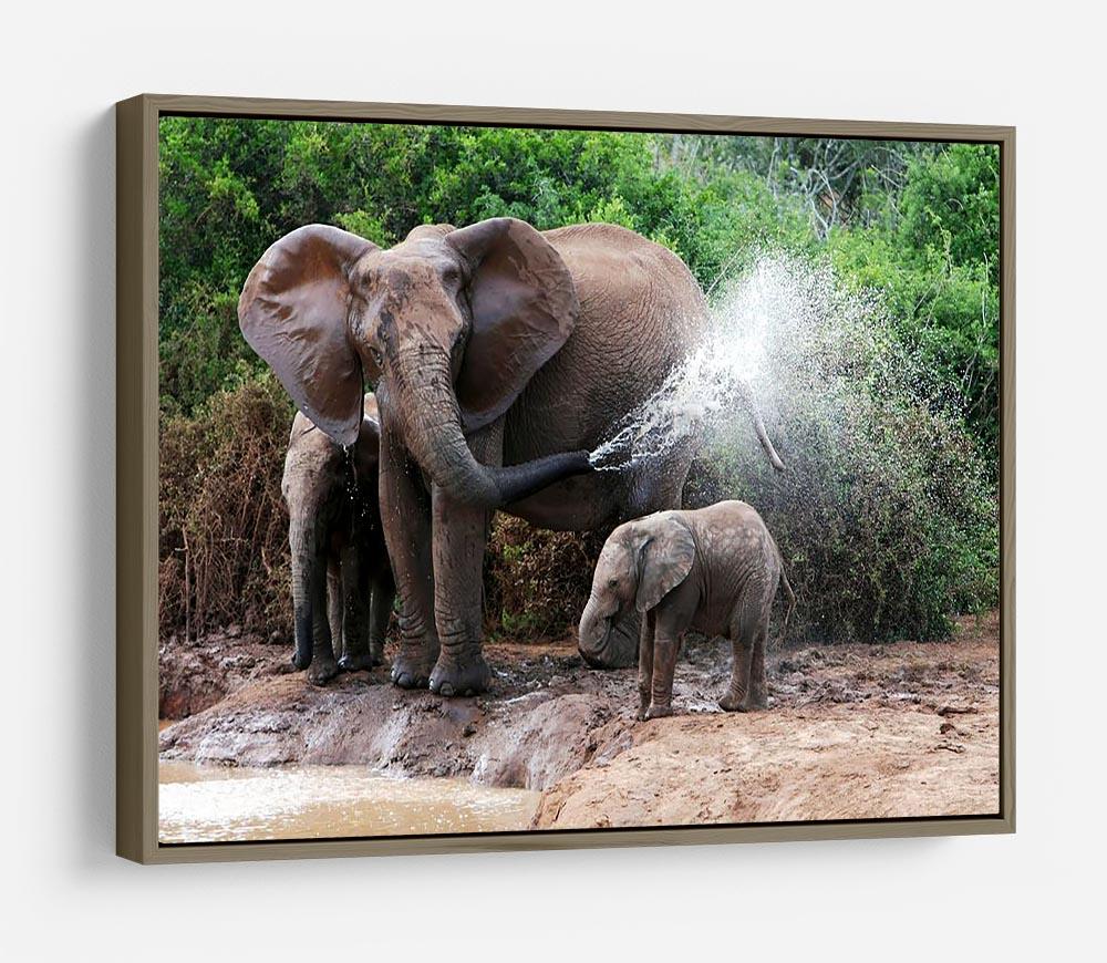 African elephant mother and baby cooling off HD Metal Print - Canvas Art Rocks - 10