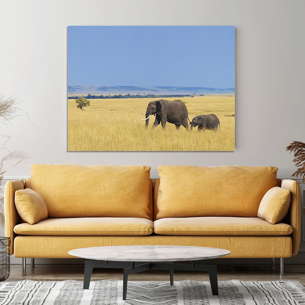 African elephant with calf Canvas Print or Poster
