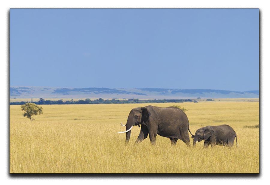African elephant with calf Canvas Print or Poster - Canvas Art Rocks - 1