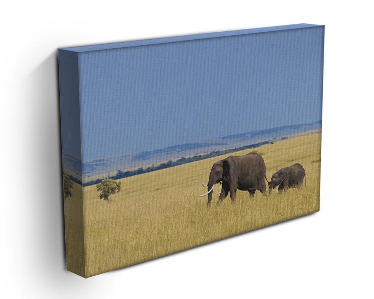 African elephant with calf Canvas Print or Poster - Canvas Art Rocks - 3