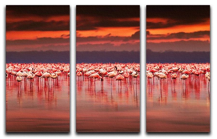 African flamingos in the lake 3 Split Panel Canvas Print - Canvas Art Rocks - 1