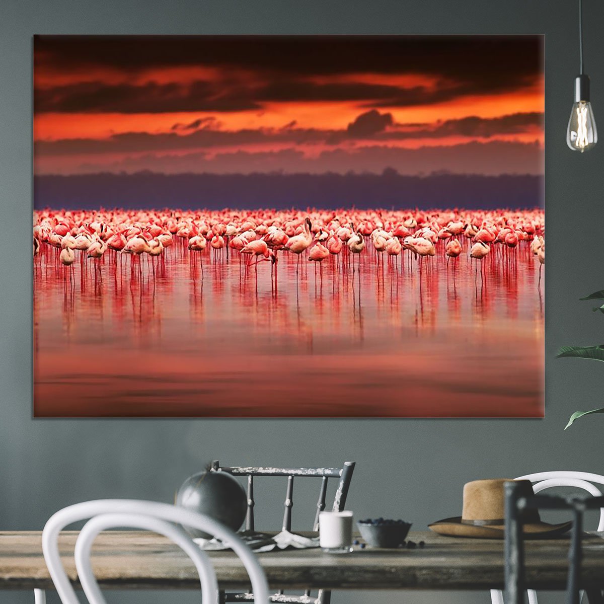 African flamingos in the lake Canvas Print or Poster