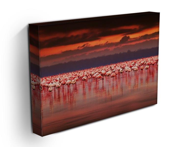 African flamingos in the lake Canvas Print or Poster - Canvas Art Rocks - 3