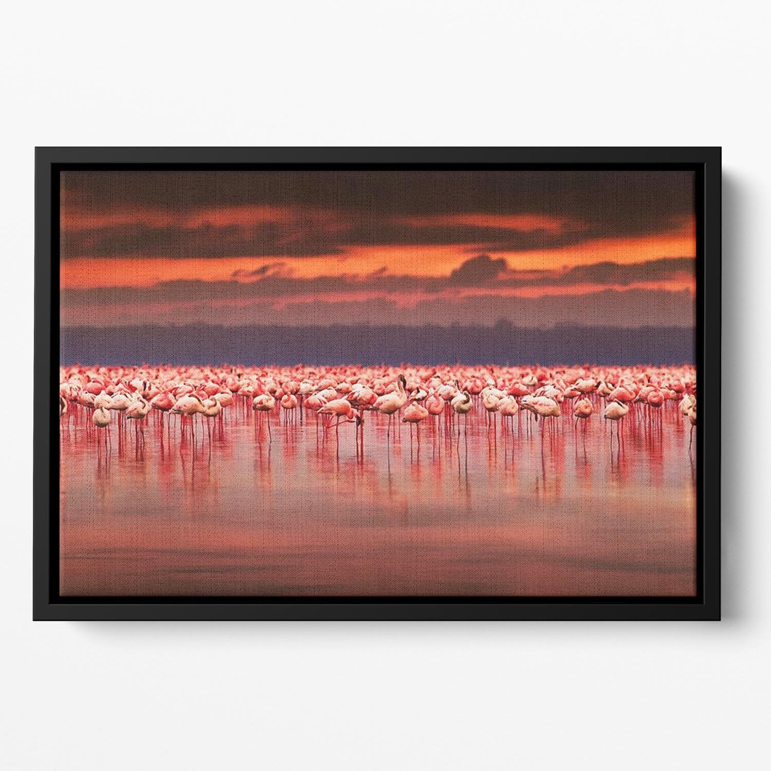 African flamingos in the lake Floating Framed Canvas - Canvas Art Rocks - 2