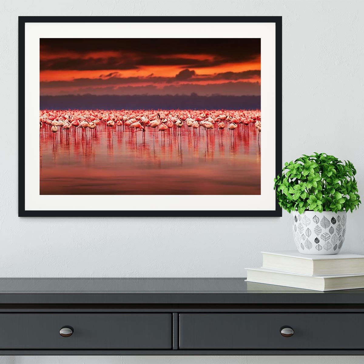 African flamingos in the lake Framed Print - Canvas Art Rocks - 1
