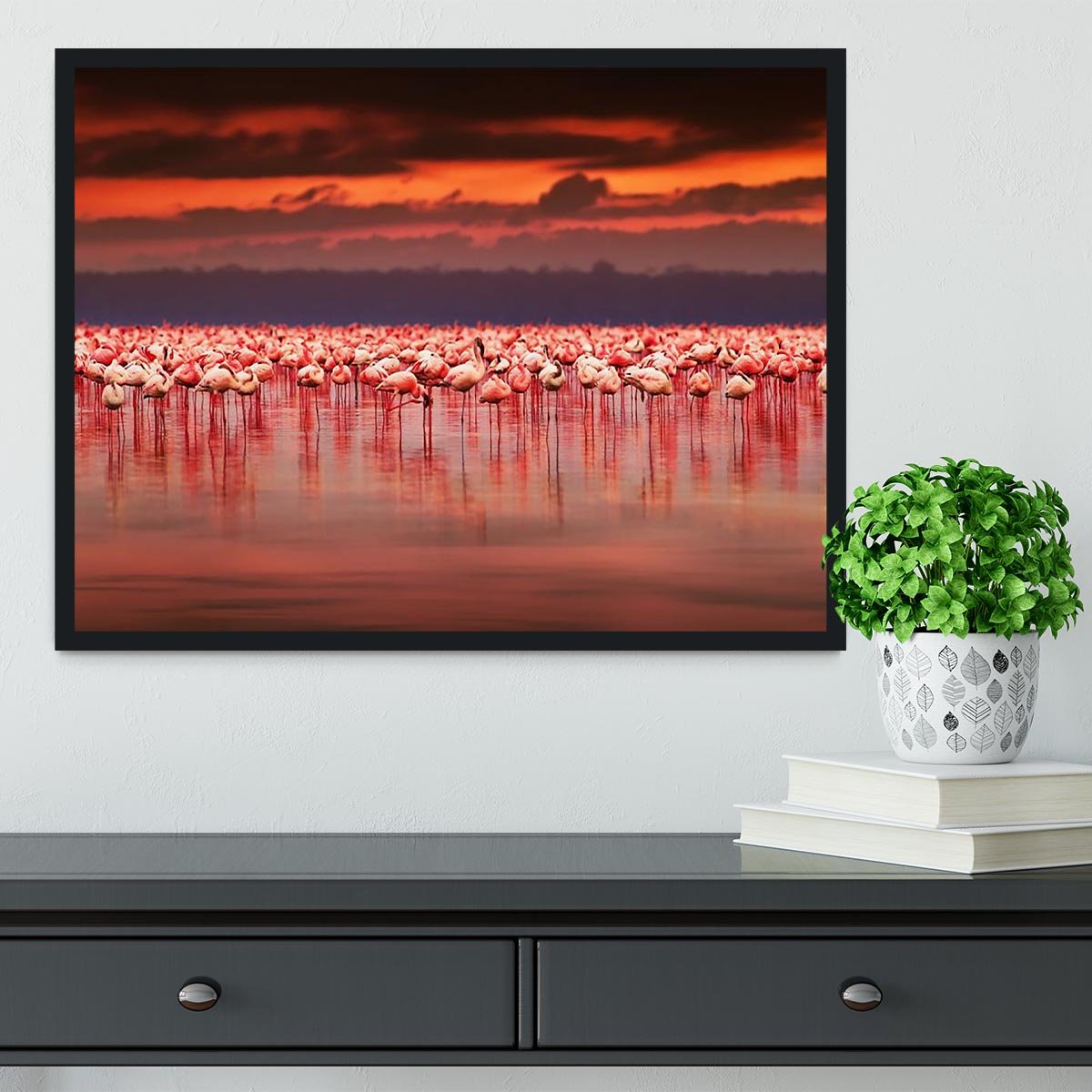 African flamingos in the lake Framed Print - Canvas Art Rocks - 2