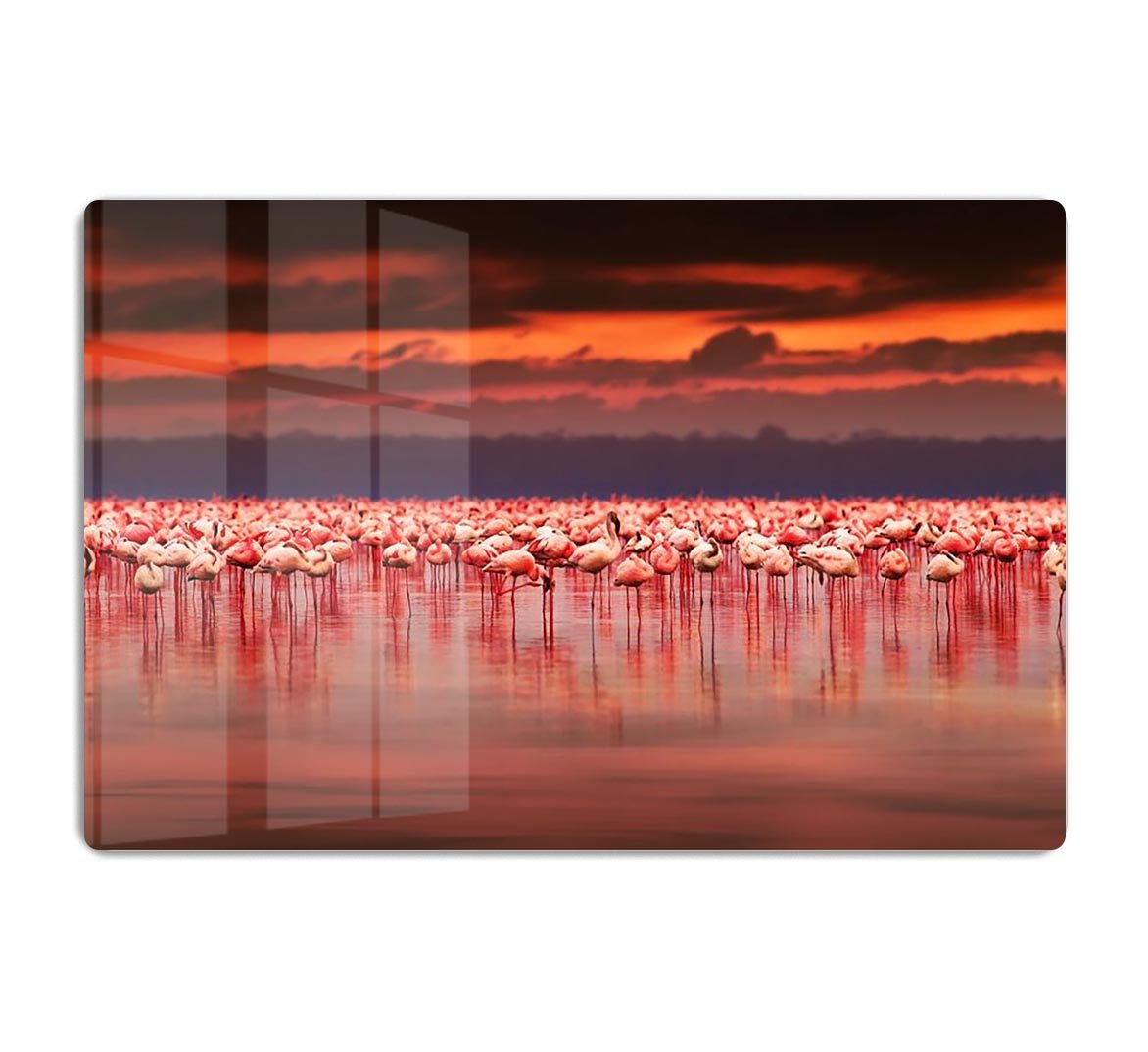 African flamingos in the lake HD Metal Print - Canvas Art Rocks - 1