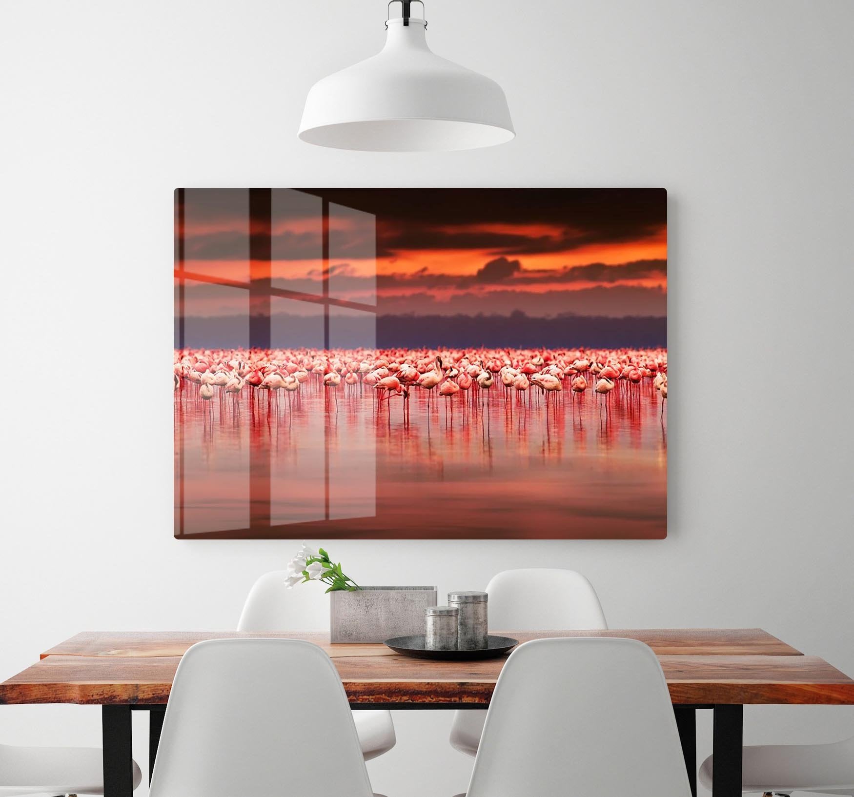 African flamingos in the lake HD Metal Print - Canvas Art Rocks - 2