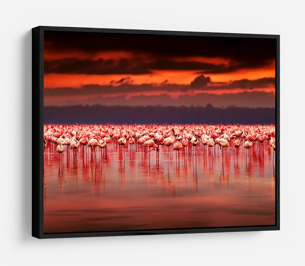 African flamingos in the lake HD Metal Print - Canvas Art Rocks - 6