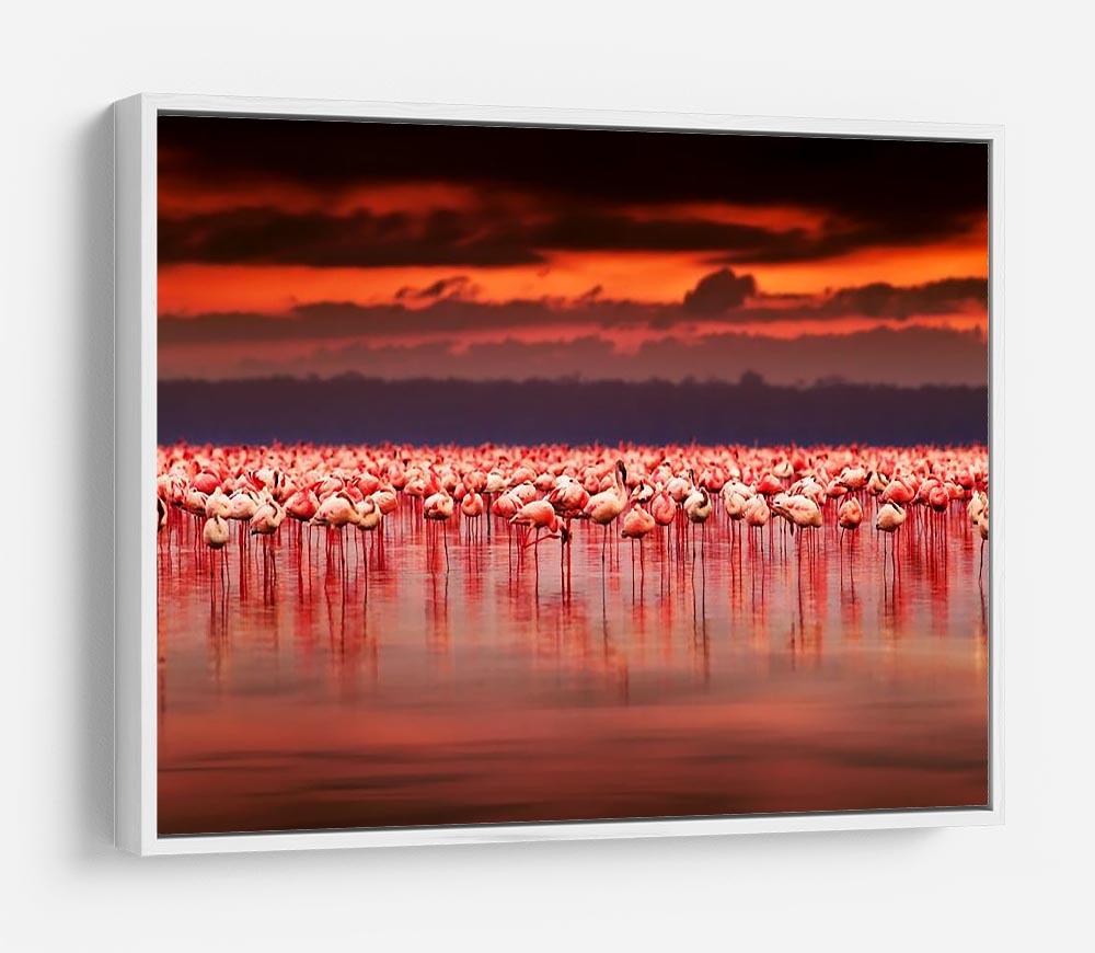African flamingos in the lake HD Metal Print - Canvas Art Rocks - 7