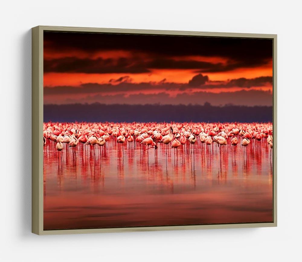 African flamingos in the lake HD Metal Print - Canvas Art Rocks - 8