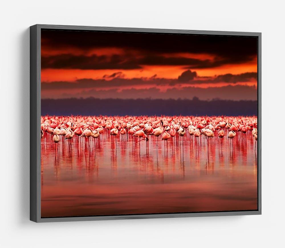 African flamingos in the lake HD Metal Print - Canvas Art Rocks - 9