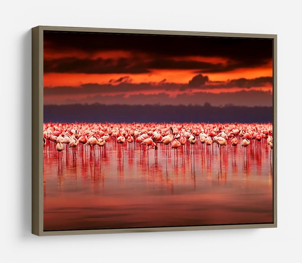 African flamingos in the lake HD Metal Print - Canvas Art Rocks - 10