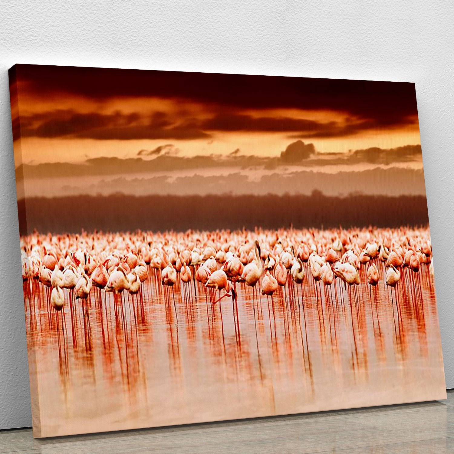 African flamingos in the lake over beautiful sunset Canvas Print or Poster