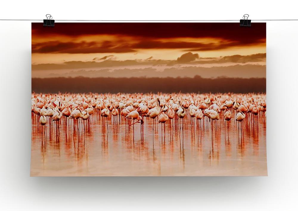African flamingos in the lake over beautiful sunset Canvas Print or Poster - Canvas Art Rocks - 2
