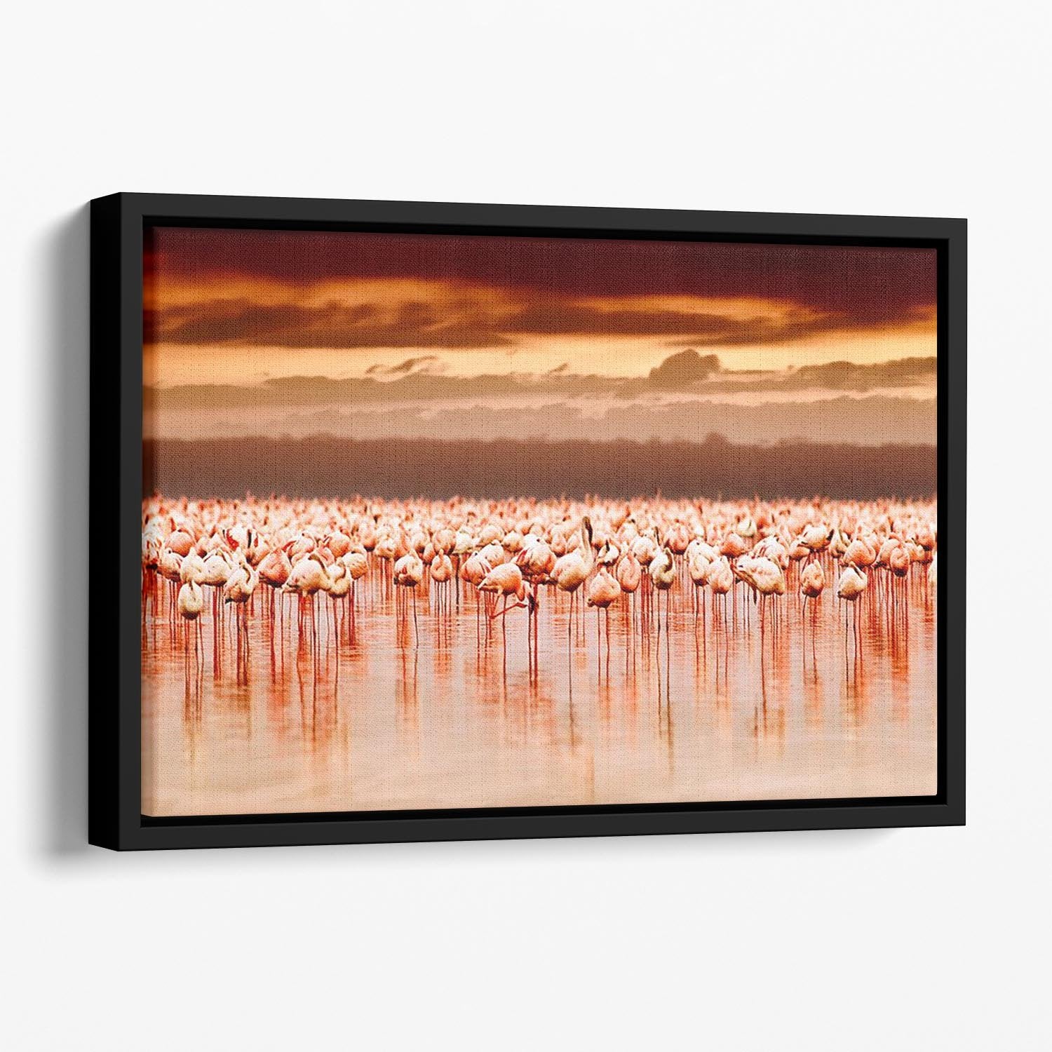 African flamingos in the lake over beautiful sunset Floating Framed Canvas - Canvas Art Rocks - 1
