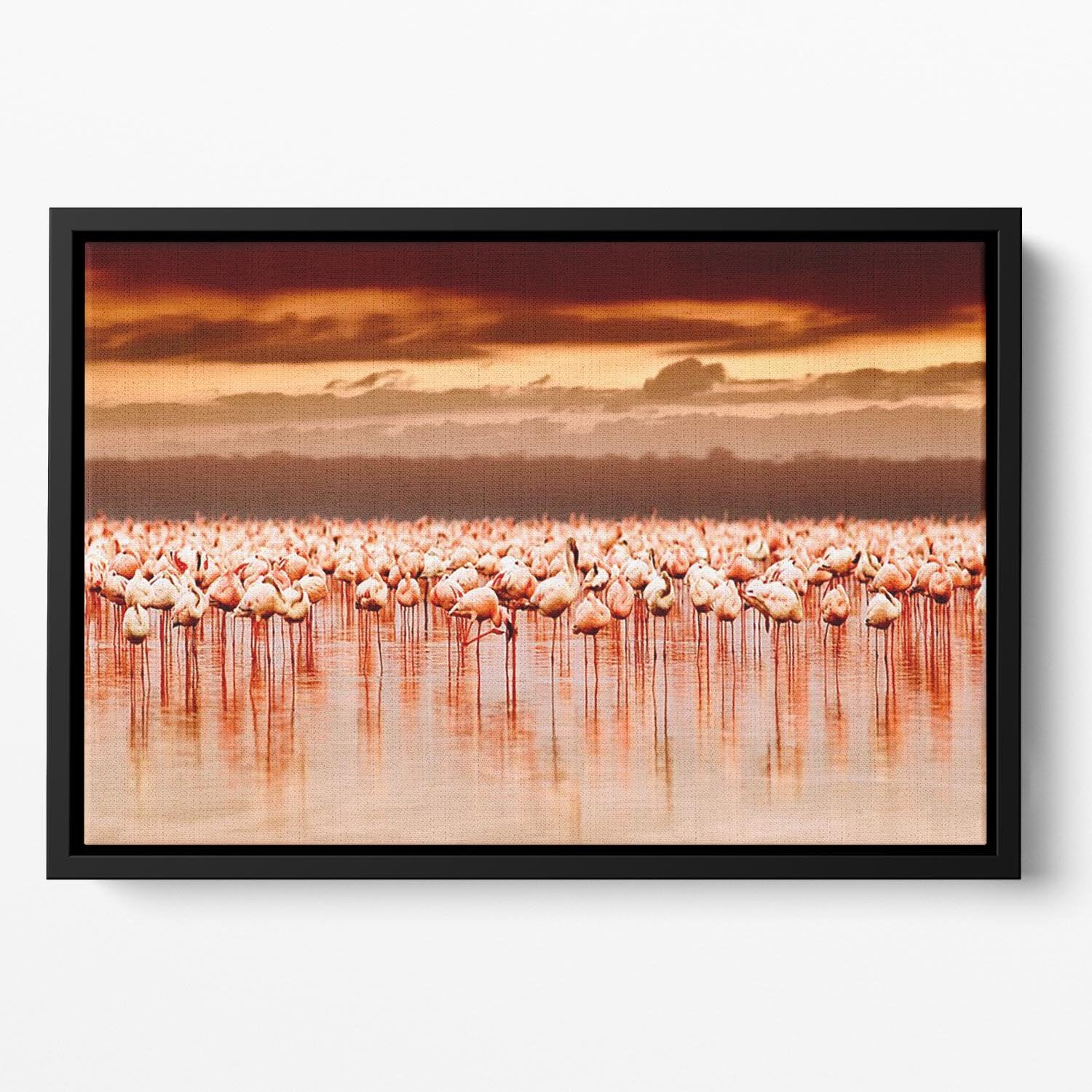 African flamingos in the lake over beautiful sunset Floating Framed Canvas - Canvas Art Rocks - 2