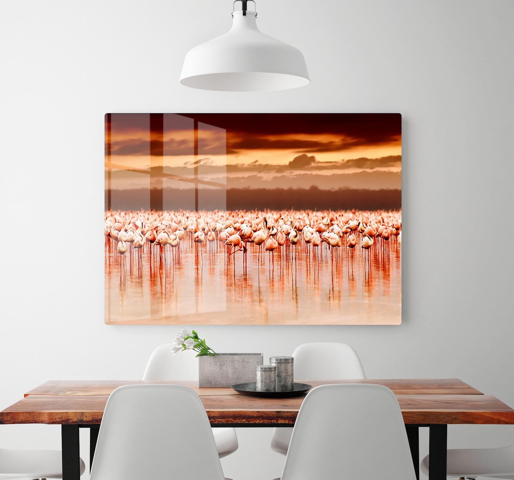 African flamingos in the lake over beautiful sunset HD Metal Print - Canvas Art Rocks - 2