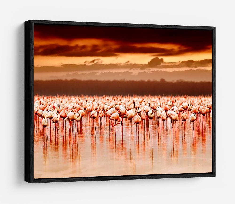 African flamingos in the lake over beautiful sunset HD Metal Print - Canvas Art Rocks - 6