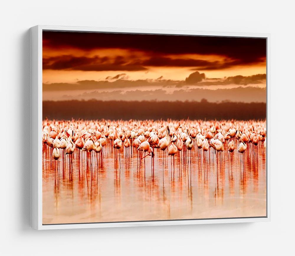 African flamingos in the lake over beautiful sunset HD Metal Print - Canvas Art Rocks - 7