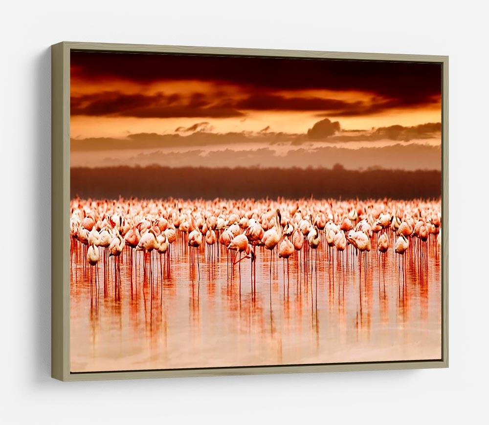African flamingos in the lake over beautiful sunset HD Metal Print - Canvas Art Rocks - 8