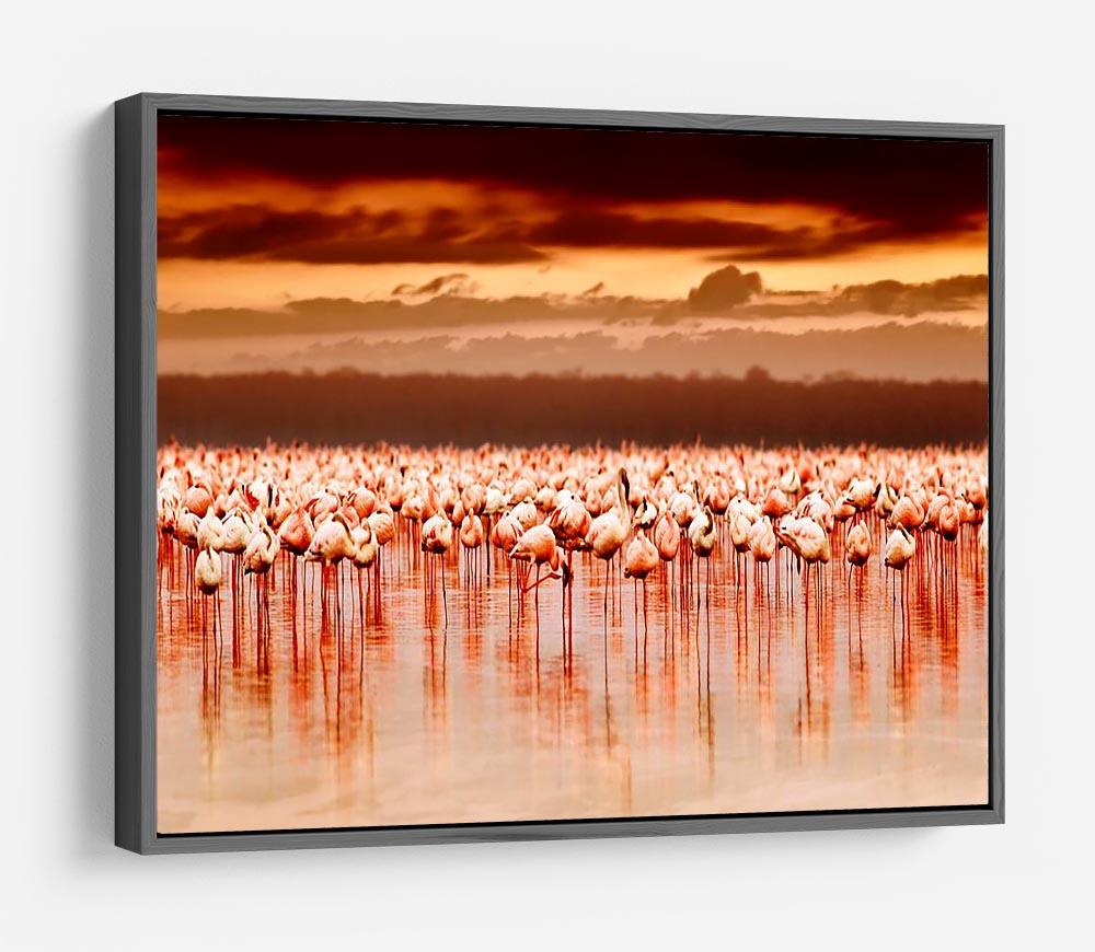 African flamingos in the lake over beautiful sunset HD Metal Print - Canvas Art Rocks - 9