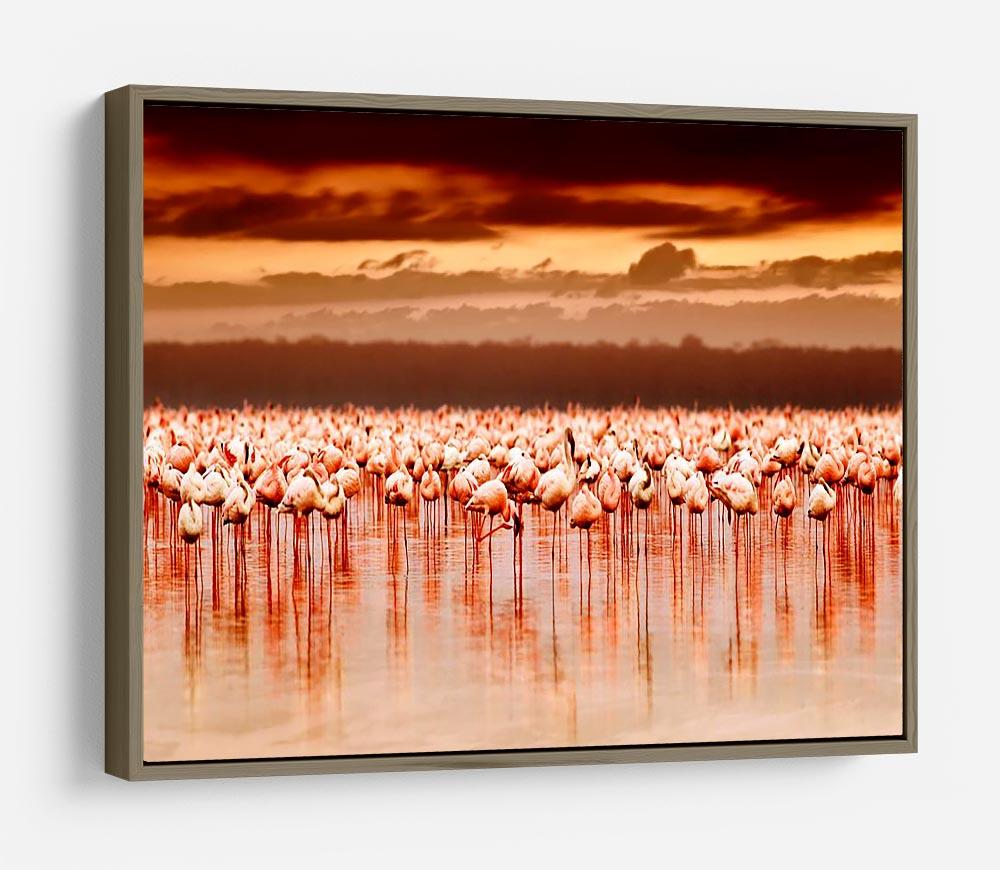 African flamingos in the lake over beautiful sunset HD Metal Print - Canvas Art Rocks - 10