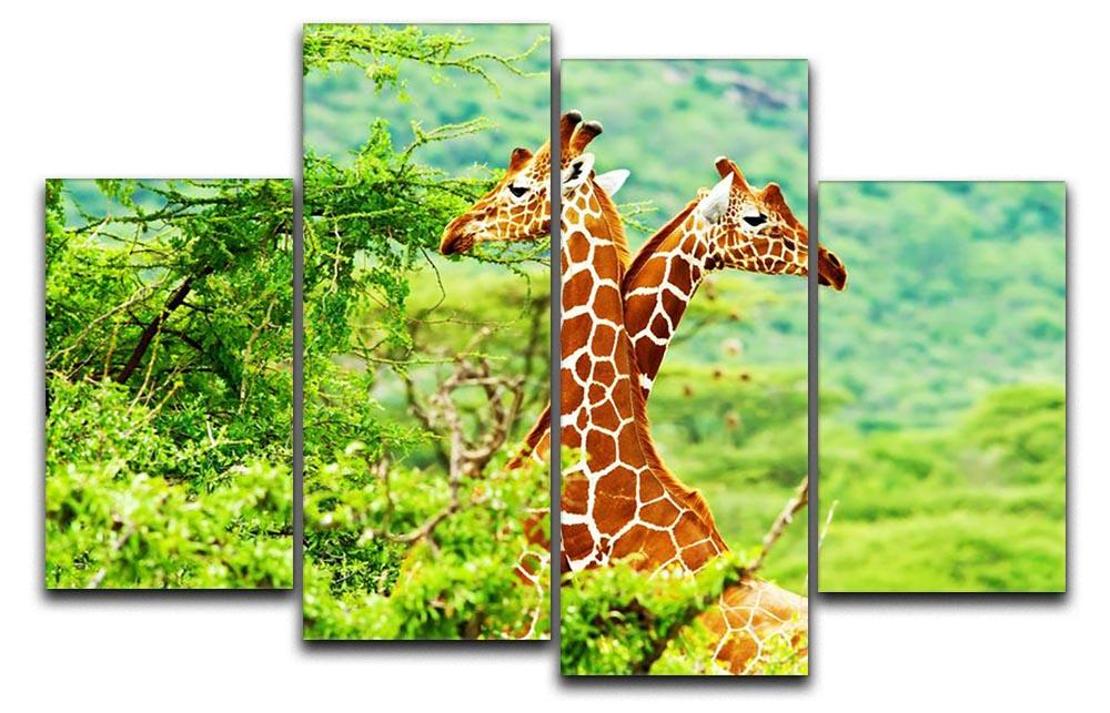 African giraffes family 4 Split Panel Canvas - Canvas Art Rocks - 1