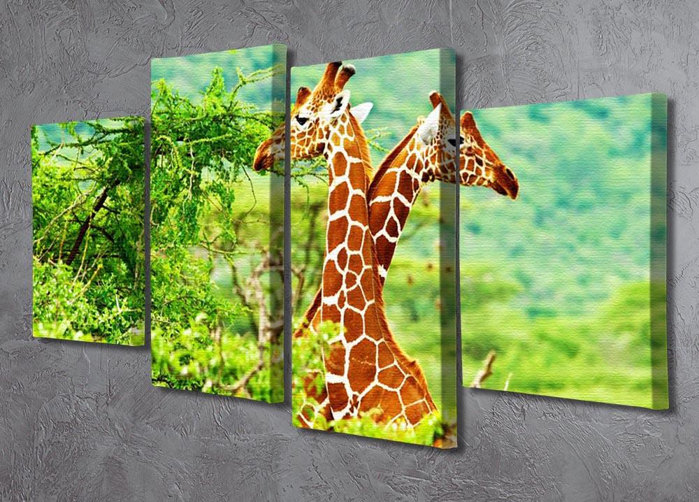 African giraffes family 4 Split Panel Canvas - Canvas Art Rocks - 2