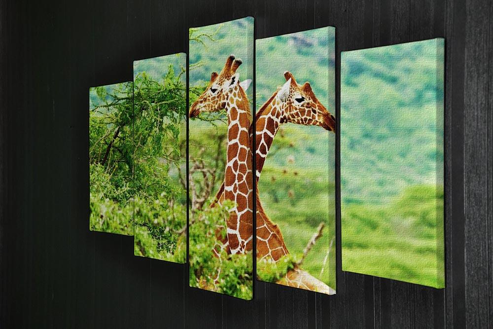African giraffes family 5 Split Panel Canvas - Canvas Art Rocks - 2