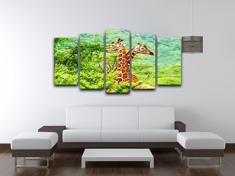 African giraffes family 5 Split Panel Canvas - Canvas Art Rocks - 3