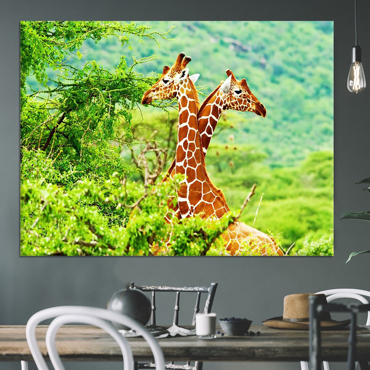 African giraffes family Canvas Print or Poster