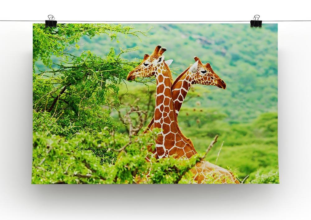 African giraffes family Canvas Print or Poster - Canvas Art Rocks - 2