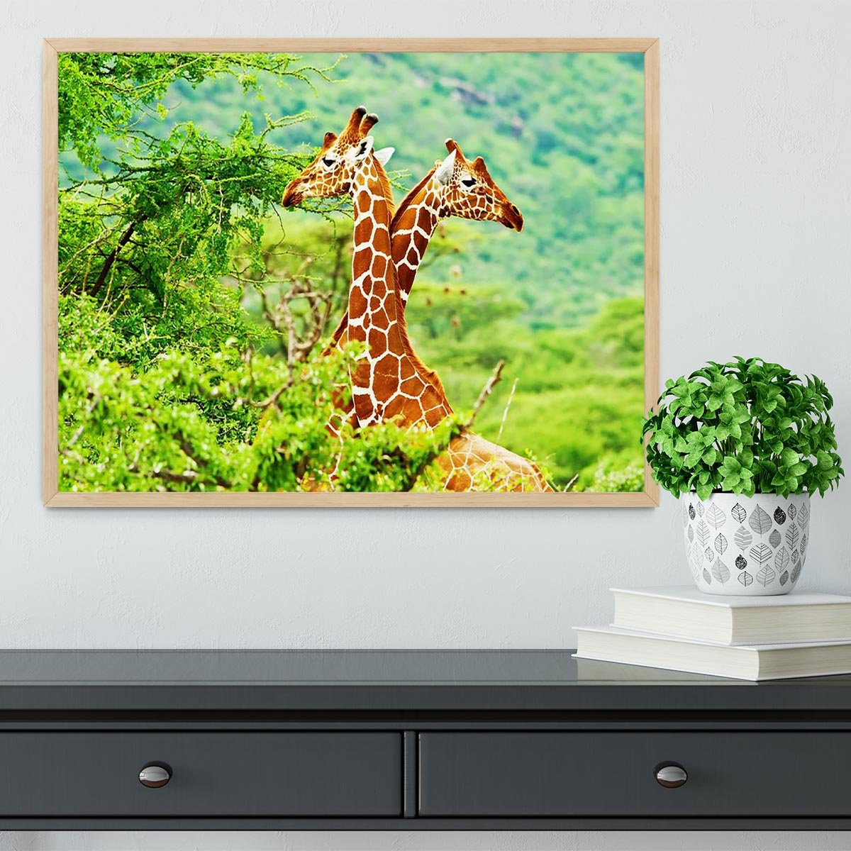 African giraffes family Framed Print - Canvas Art Rocks - 4