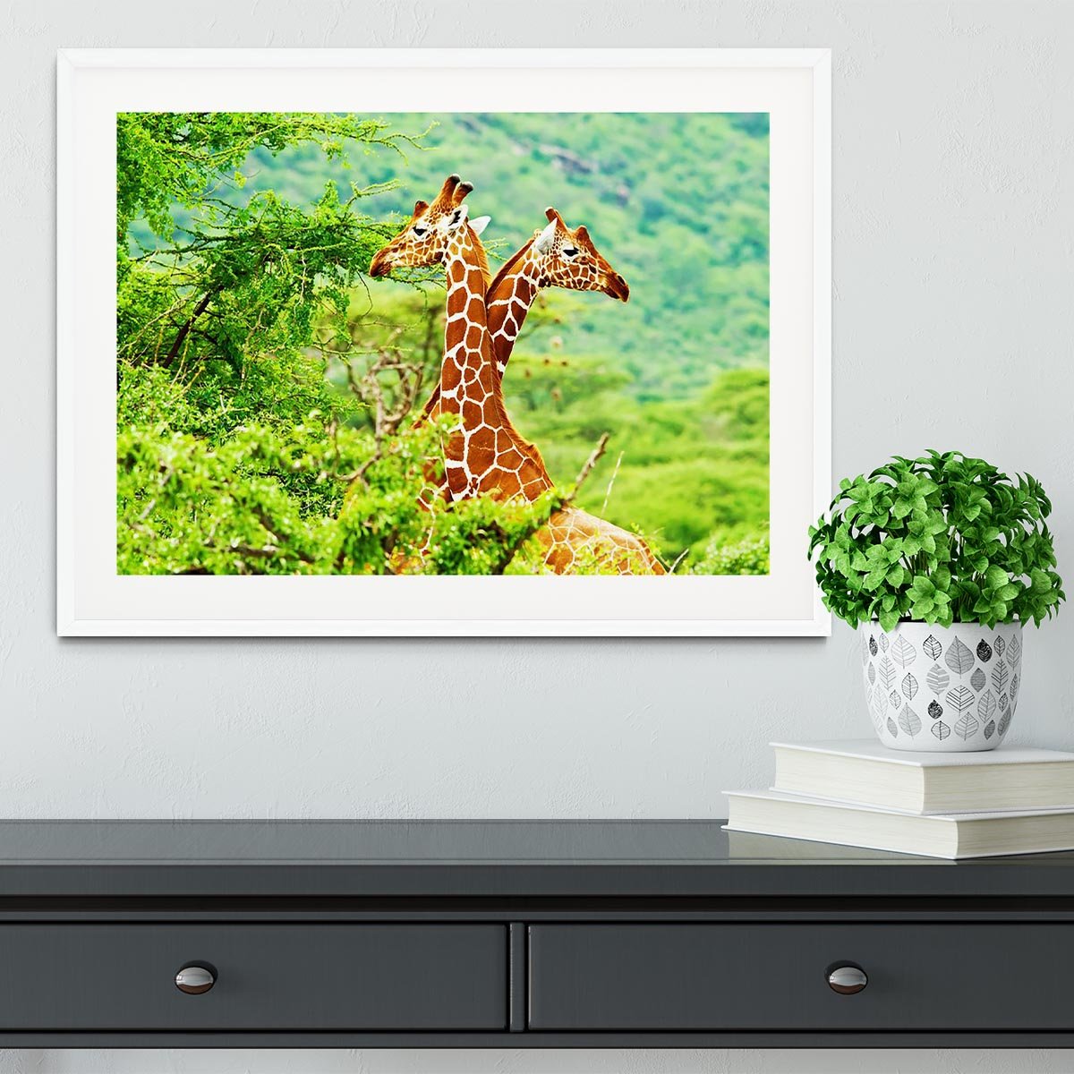 African giraffes family Framed Print - Canvas Art Rocks - 5