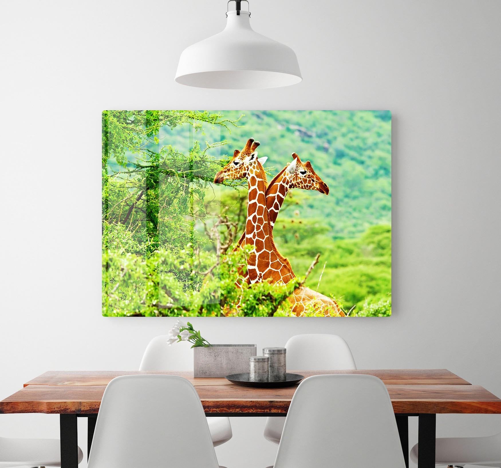 African giraffes family HD Metal Print - Canvas Art Rocks - 2