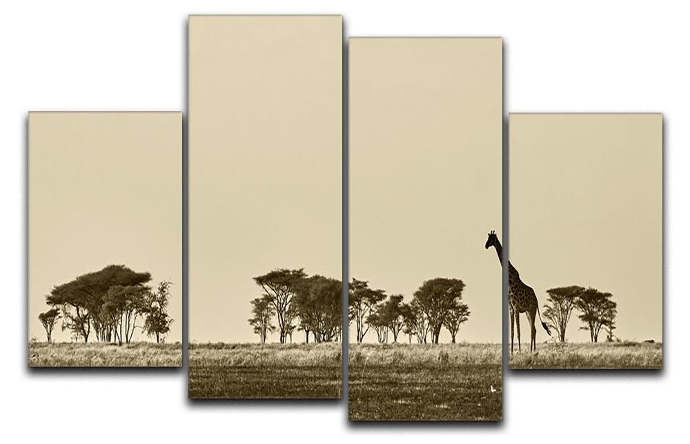 African landscape with giraffe in black and white 4 Split Panel Canvas - Canvas Art Rocks - 1
