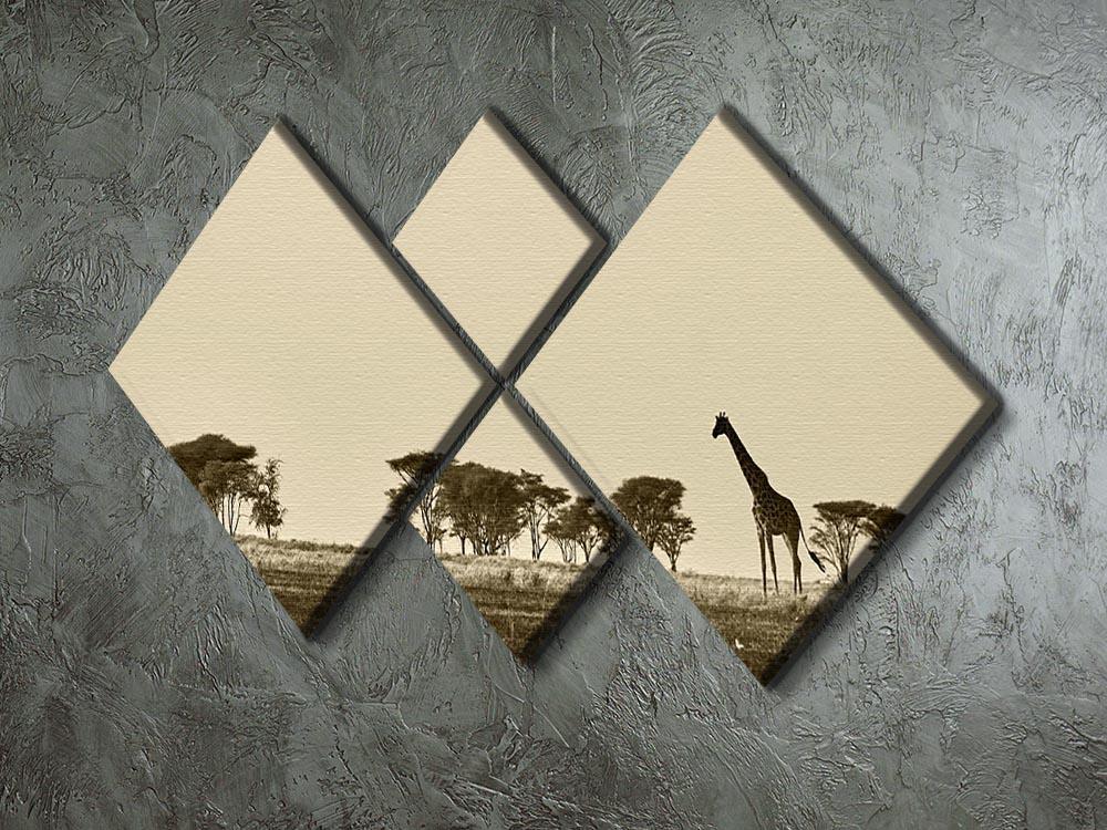 African landscape with giraffe in black and white 4 Square Multi Panel Canvas - Canvas Art Rocks - 2