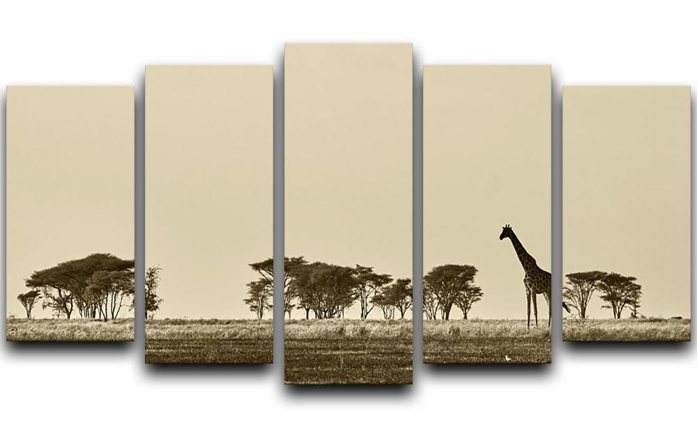 African landscape with giraffe in black and white 5 Split Panel Canvas - Canvas Art Rocks - 1