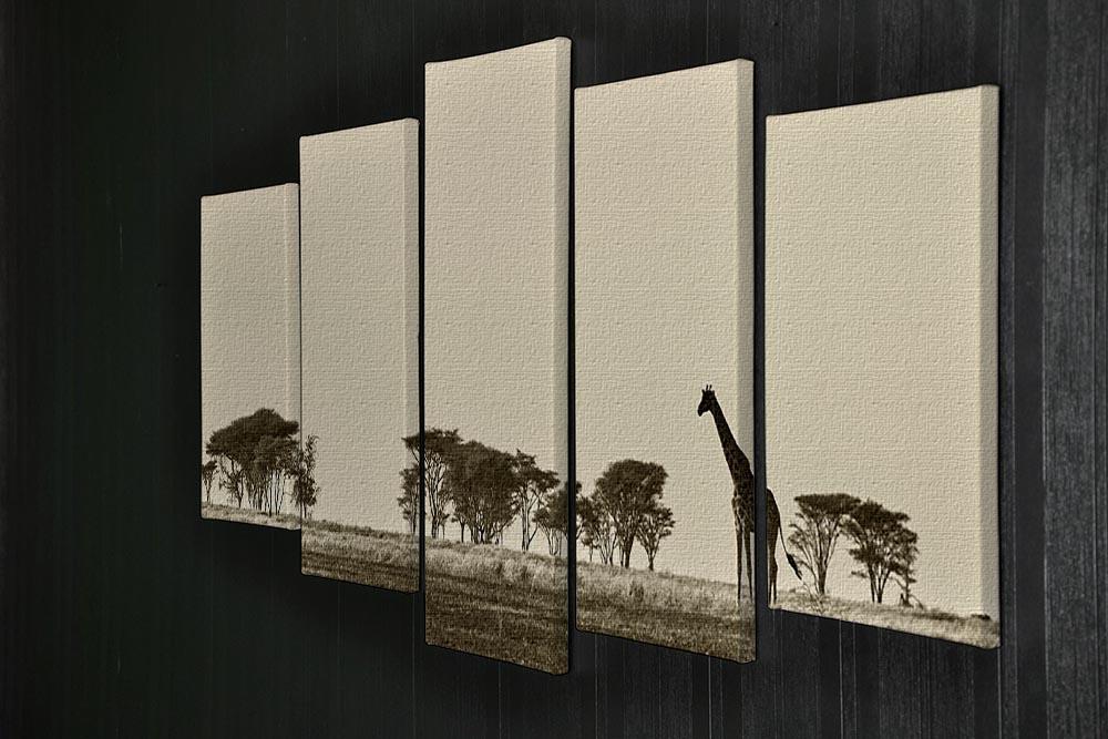 African landscape with giraffe in black and white 5 Split Panel Canvas - Canvas Art Rocks - 2