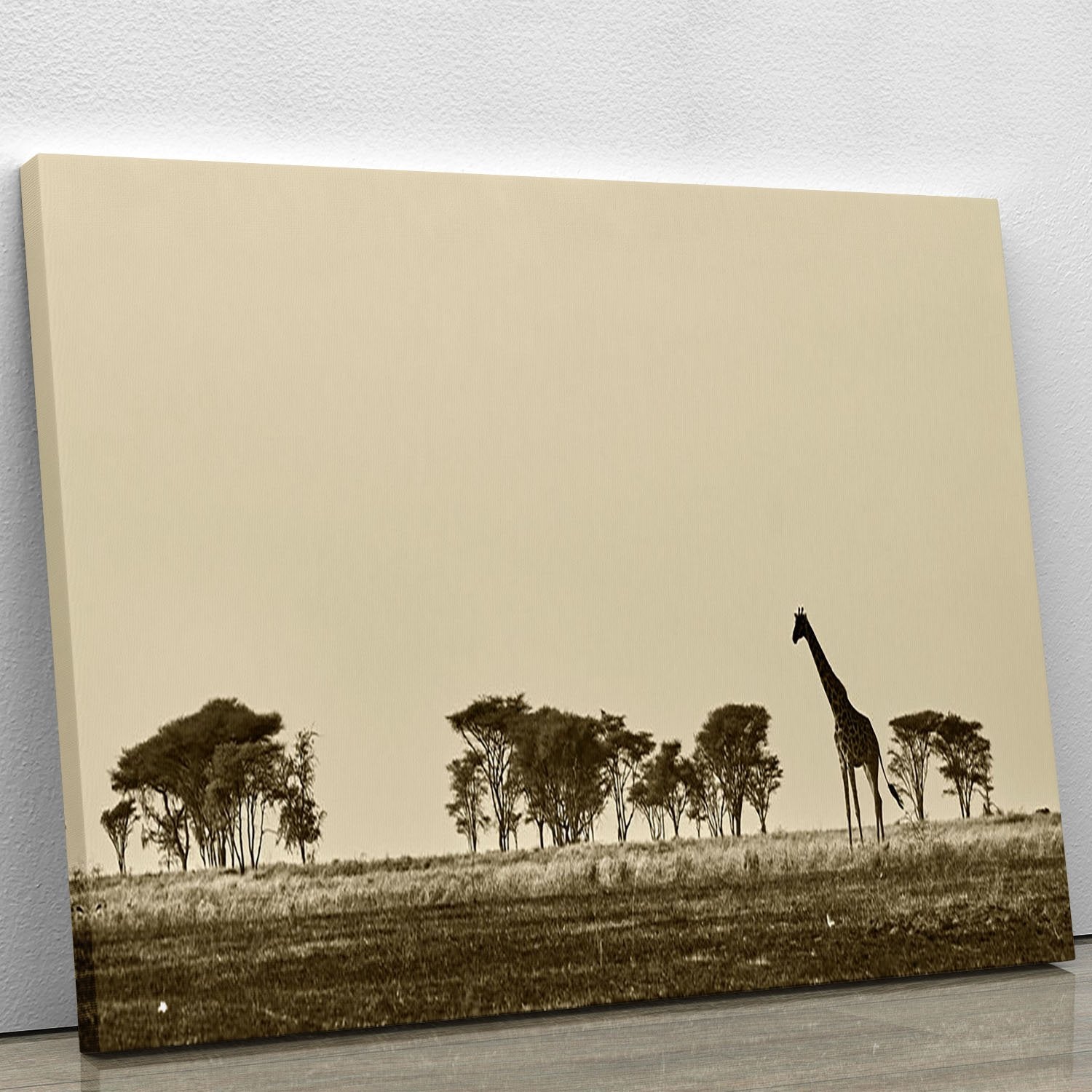 African landscape with giraffe in black and white Canvas Print or Poster