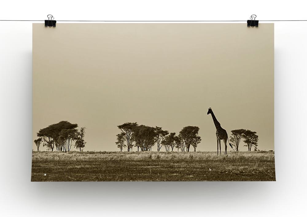 African landscape with giraffe in black and white Canvas Print or Poster - Canvas Art Rocks - 2