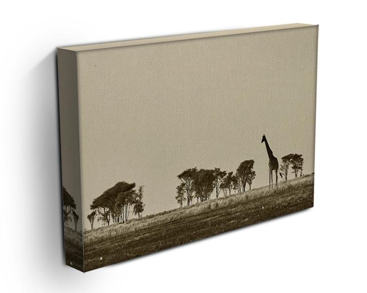 African landscape with giraffe in black and white Canvas Print or Poster - Canvas Art Rocks - 3