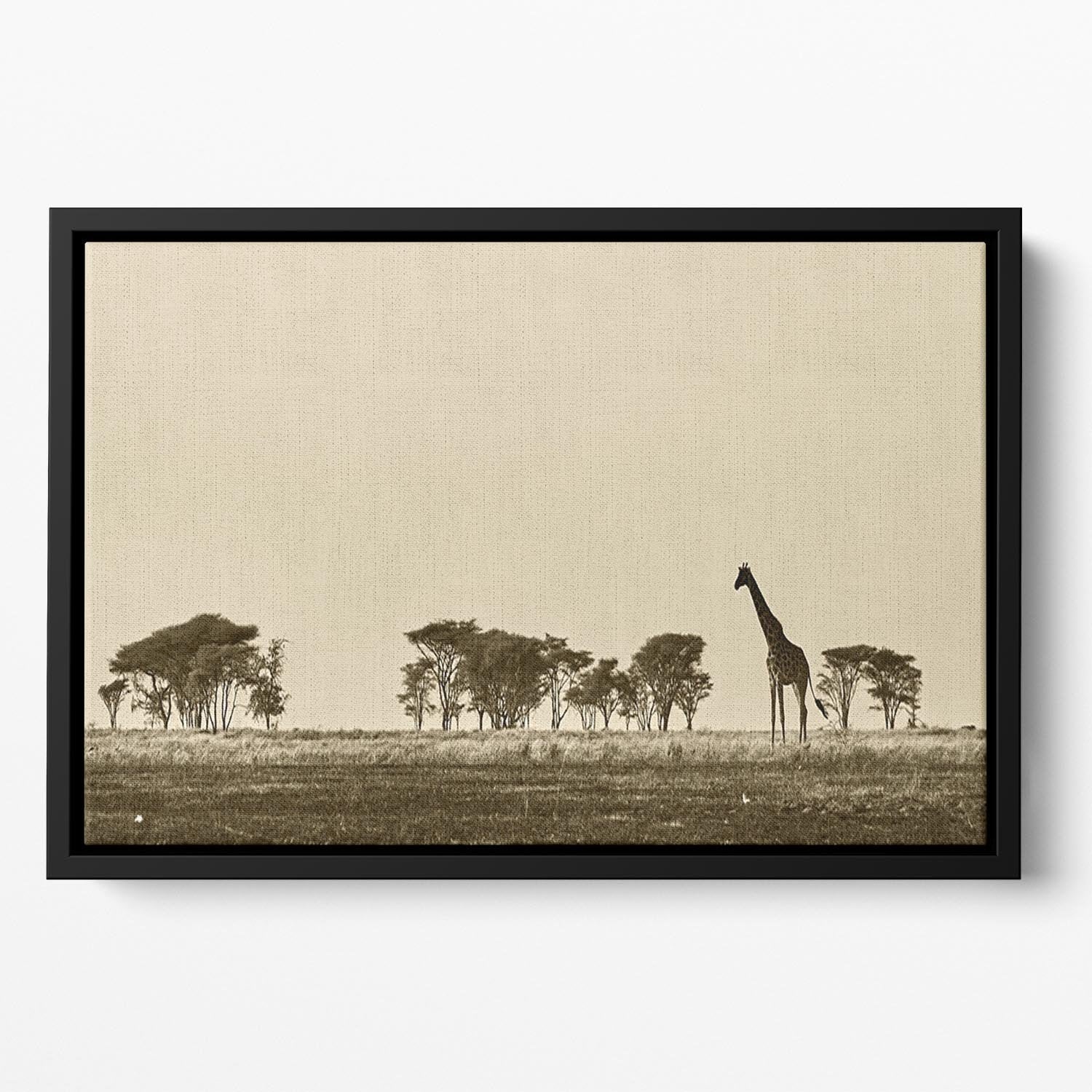 African landscape with giraffe in black and white Floating Framed Canvas - Canvas Art Rocks - 2
