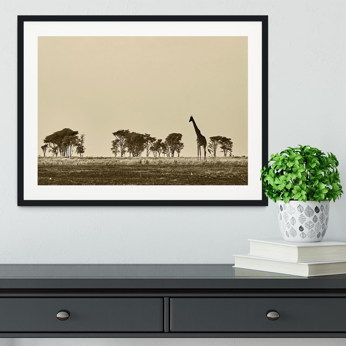 African landscape with giraffe in black and white Framed Print - Canvas Art Rocks - 1