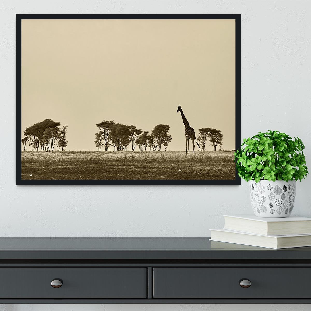 African landscape with giraffe in black and white Framed Print - Canvas Art Rocks - 2
