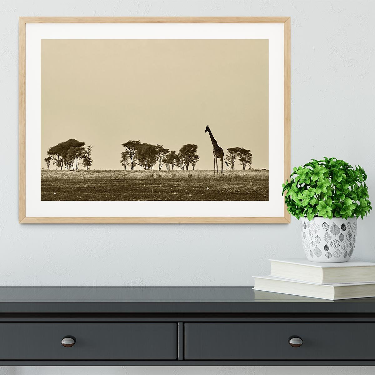 African landscape with giraffe in black and white Framed Print - Canvas Art Rocks - 3