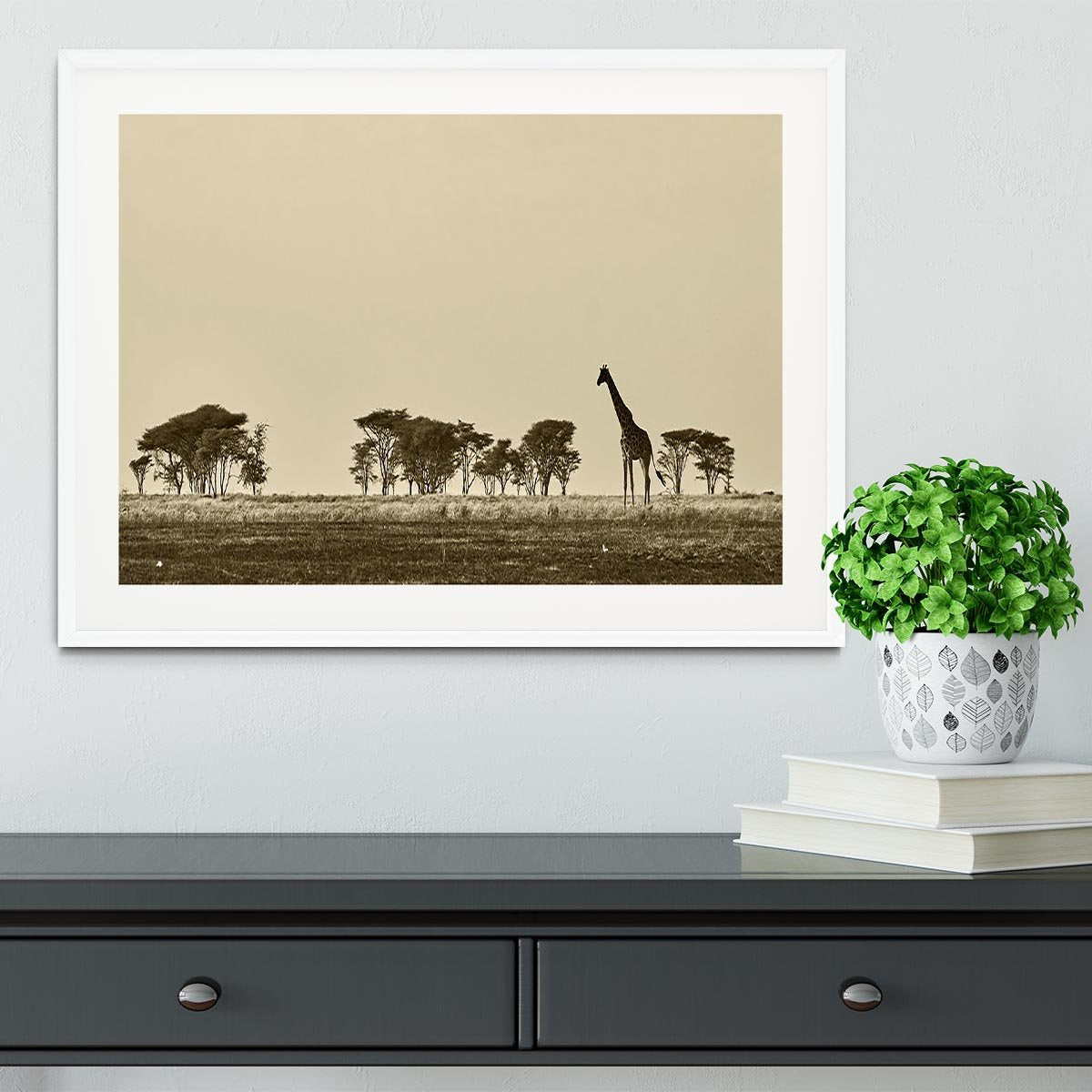 African landscape with giraffe in black and white Framed Print - Canvas Art Rocks - 5