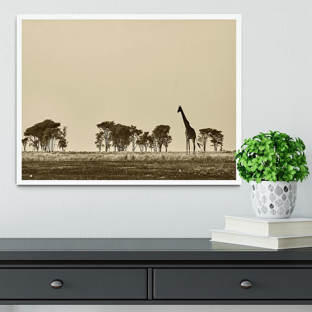 African landscape with giraffe in black and white Framed Print - Canvas Art Rocks -6