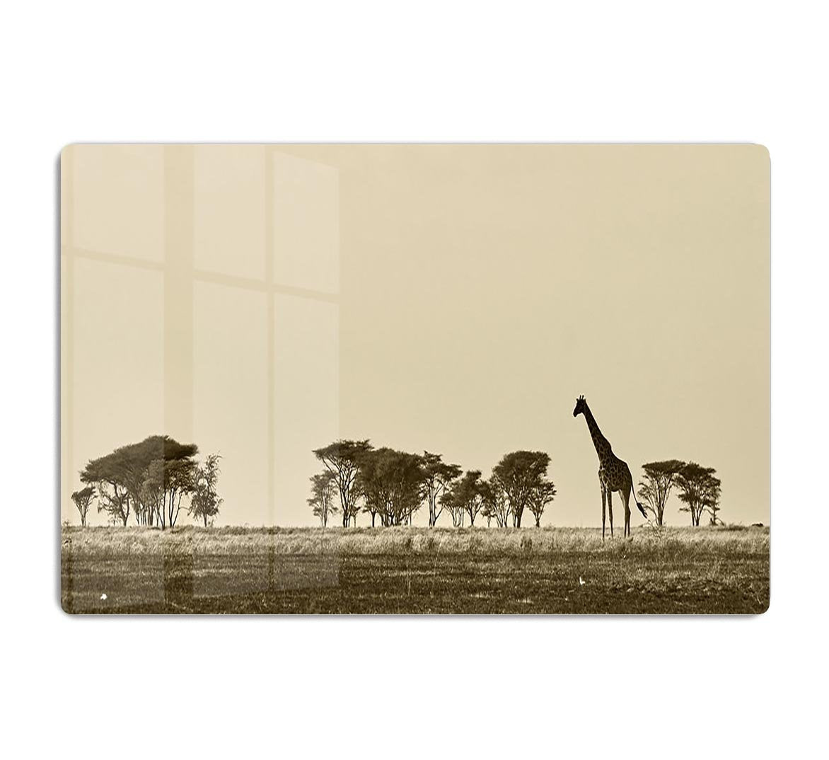 African landscape with giraffe in black and white HD Metal Print - Canvas Art Rocks - 1